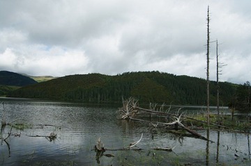 IMGP6930.JPG