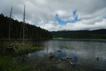 IMGP6932.JPG