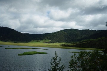 IMGP6948.JPG