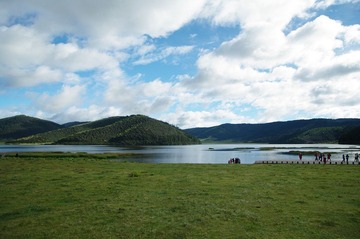 IMGP6895.JPG
