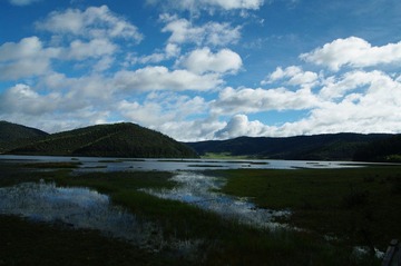IMGP6902.JPG