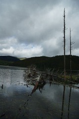 IMGP6931.JPG