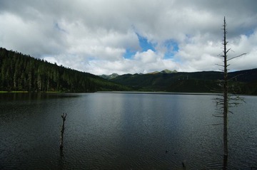 IMGP6937.JPG