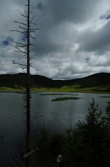 IMGP6950.JPG