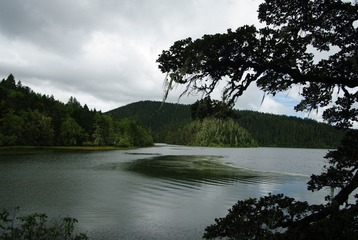 IMGP6956.JPG