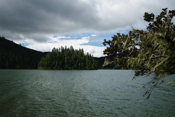 IMGP6964.JPG