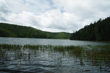 IMGP6976.JPG