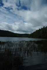 IMGP6977.JPG