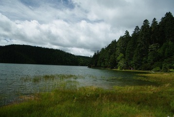 IMGP6978.JPG