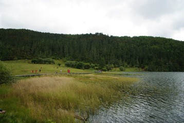 IMGP6990.JPG