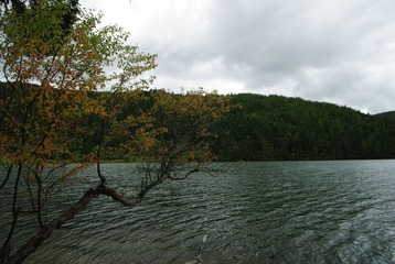 IMGP6994.JPG