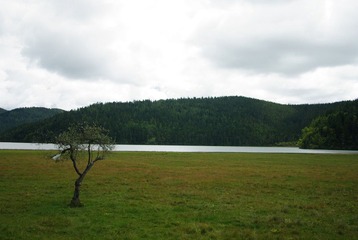 IMGP7014.JPG