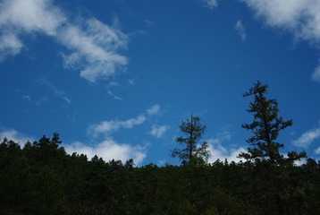 IMGP7019.JPG