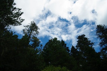 IMGP7020.JPG