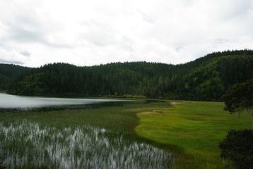 IMGP7005.JPG