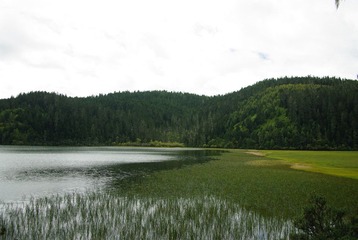 IMGP7003.JPG
