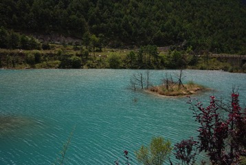IMGP7082.JPG