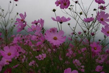 IMGP7172.JPG