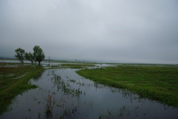 IMGP7180.JPG