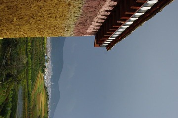 IMGP6644.JPG