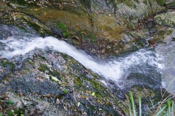 IMGP7330.JPG