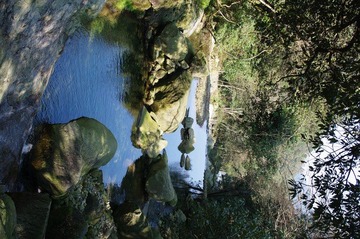 IMGP7365.JPG