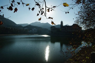 IMGP7215.JPG