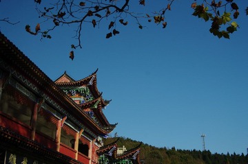 IMGP7235.JPG