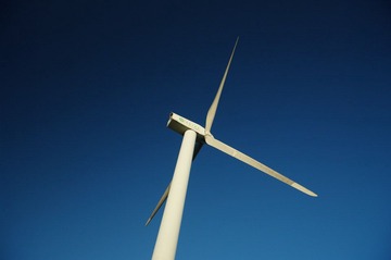 IMGP7247.JPG