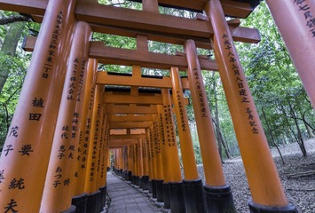 DSC_6241（修）