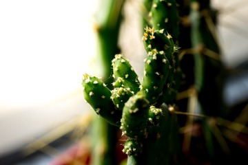 DSC03295-13