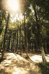 20110903-IMG_9100.jpg