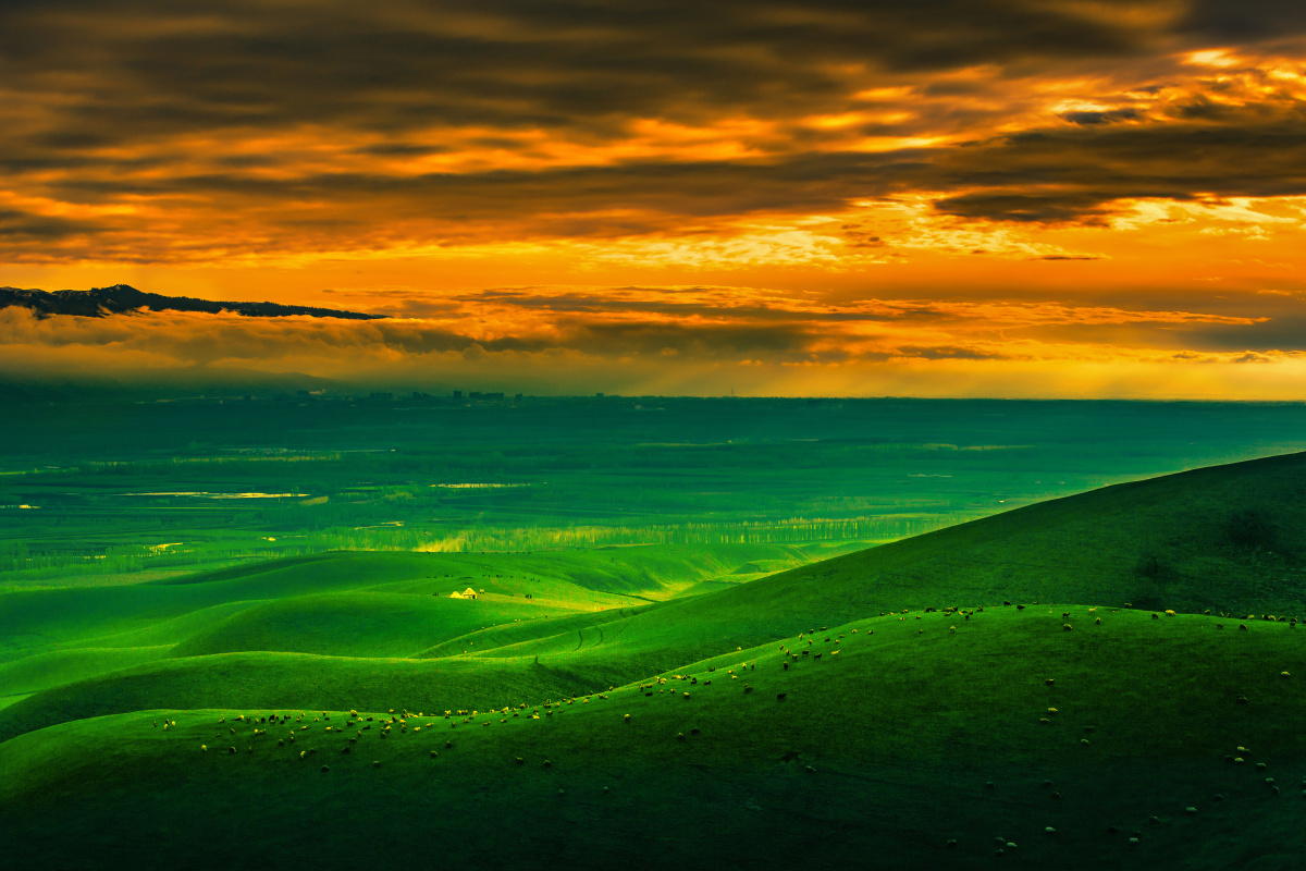 这照片2016年4月拍摄于新疆新源杏花沟:醉美的晓霞,悠闲的牛羊,翆绿的