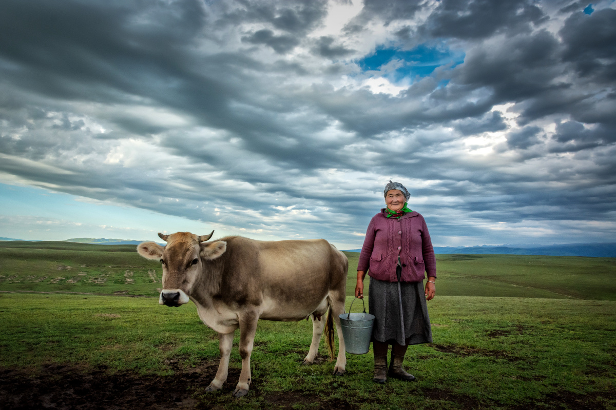 新疆哈萨克族牧民逍遥子高远关注