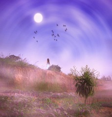 shang-ding-tong-hua2.jpg