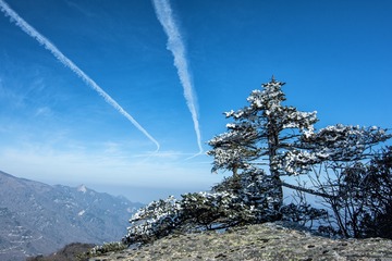 _CZQ2761