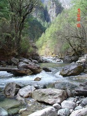 DSC00303.jpg