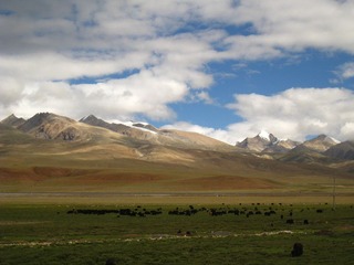 IMG_0003.JPG