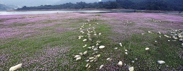 未标题_全景图1.jpg