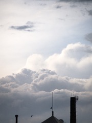 P8230393-4