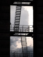 P8230395
