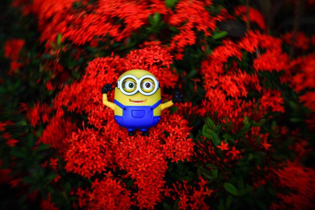 BEE DO BEE DO BEE DO! 