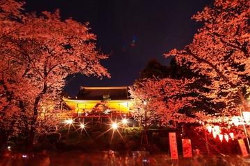 上野寺