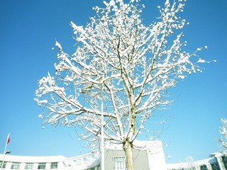春分的雪