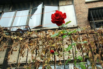 IMG_4245.jpg