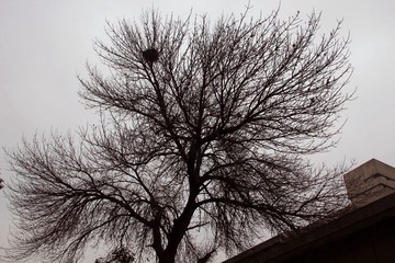 IMG_4227.jpg