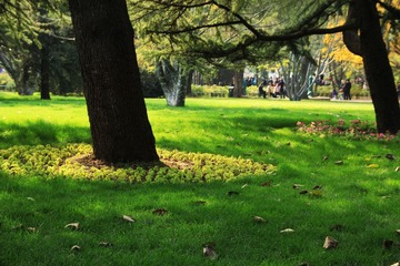 IMG_4615.jpg
