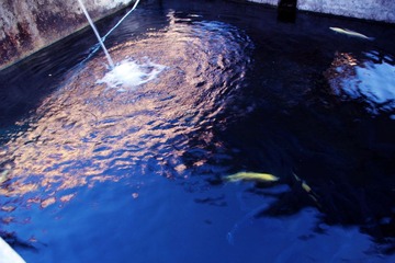 IMG_4776.jpg