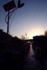 IMG_4786.jpg