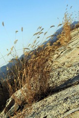 IMG_4886.jpg